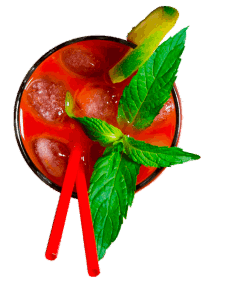 bloody mary cocktail