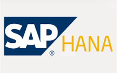 SAP HANA 